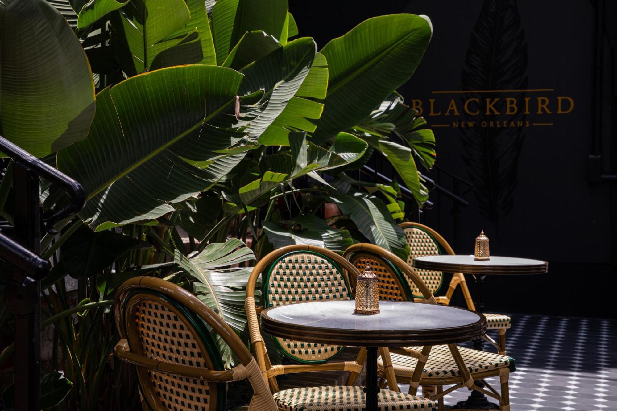 Blackbird 4* New Orleans
